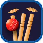 Cricboss : Live Cricket Score iOS Icon