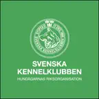 SKK Start iOS Icon