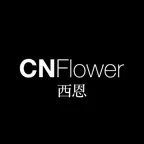 CNFlower西恩| CNShop線上商店 iOS Icon