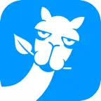 Nana Business iOS Icon