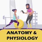 Level 2 Anatomy & Physiology iOS Icon