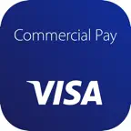Visa Commercial Pay iOS Icon