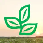 alborada iOS Icon