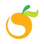 Big Orange iOS Icon