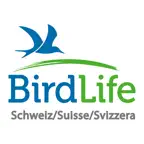 Vogelführer Birdlife Schweiz iOS Icon