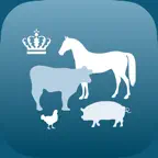 CHR iOS Icon