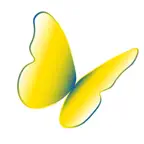 myAïron iOS Icon