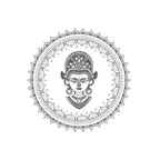 Zari iOS Icon