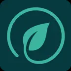 Älyenergia icon
