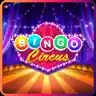Bingo Bazaar