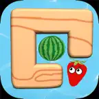 Brain toys iOS Icon