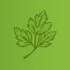 نباتات فلسطين iOS Icon