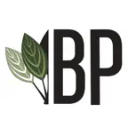 Buce Plant Icon