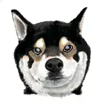 Ponzul (ポンズール) iOS Icon