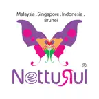 Netturul iOS Icon