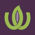 Wasserman Supermarket iOS Icon