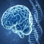 Learn Neurology iOS Icon