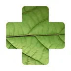 Plant Disease Identifier. icon