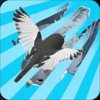 Sekirei Run iOS Icon
