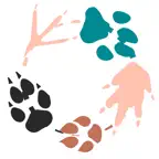 Animalia iOS Icon