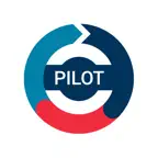 Pilot: Learn English (WSE CN) iOS Icon