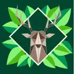Nature Contents iOS Icon