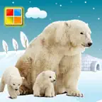 Animals Cards : Learn English iOS Icon