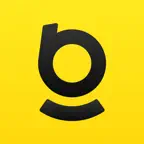Baseus icon