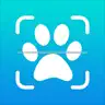 Animal Tracks Discovery