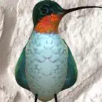 HelenaHummingbirdAR iOS Icon