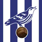 Boing Boing Baggies iOS Icon