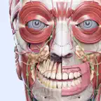 VOKA 3D Anatomy and Physiology icon