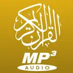 المعيقلي القران بدون انترنت iOS Icon