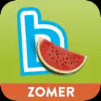 Zomerbingel iOS Icon