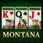 Montana (Gaps) Solitaire iOS Icon
