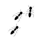 ANT Message Sticker Pack iOS Icon