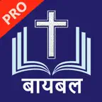 Marathi Bible PRO (मराठी) iOS Icon