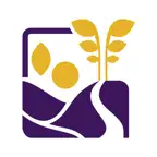 INMAPZ AIR iOS Icon