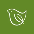 grünebandbreite iOS Icon