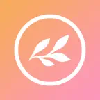 Story Highlights For Instagram iOS Icon