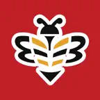COYBees - Live Scores & News iOS Icon