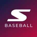 SALTED Baseball Icon