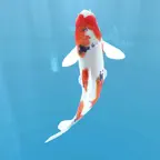 Koi - Aquarium iOS Icon