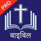 Hindi Bible Pro - हिंदी बाइबिल iOS Icon