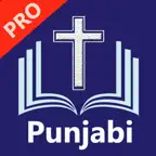 Punjabi Bible Pro (Revised) iOS Icon
