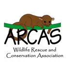 Arcas AR iOS Icon