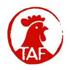 Tavuk Fakültesi iOS Icon
