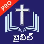 Telugu Bible Pro (Grandhamu) iOS Icon