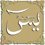 audio Yasin Mülk Amme Conquest iOS Icon