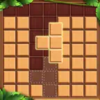 Block Puzzle - Wood Games iOS Icon
